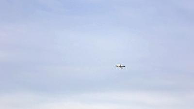 安州带娃避暑2-3天推荐,安州避暑胜地排名