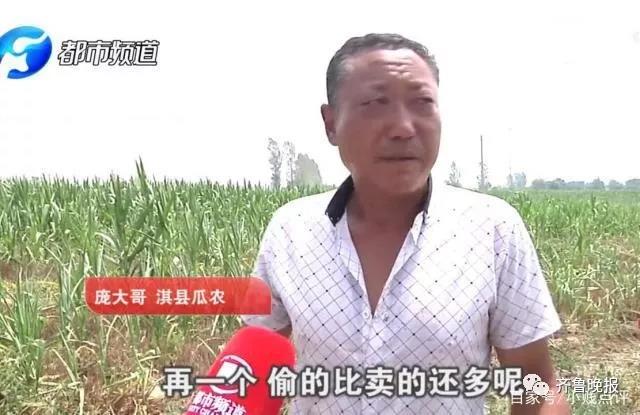 西瓜被偷赔300元怎么办,农民西瓜被偷倒赔三百元家属退钱