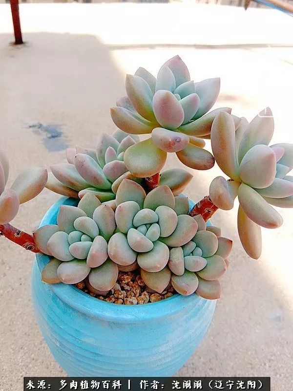 心若向阳无惧晴天,心若向阳不畏风雨