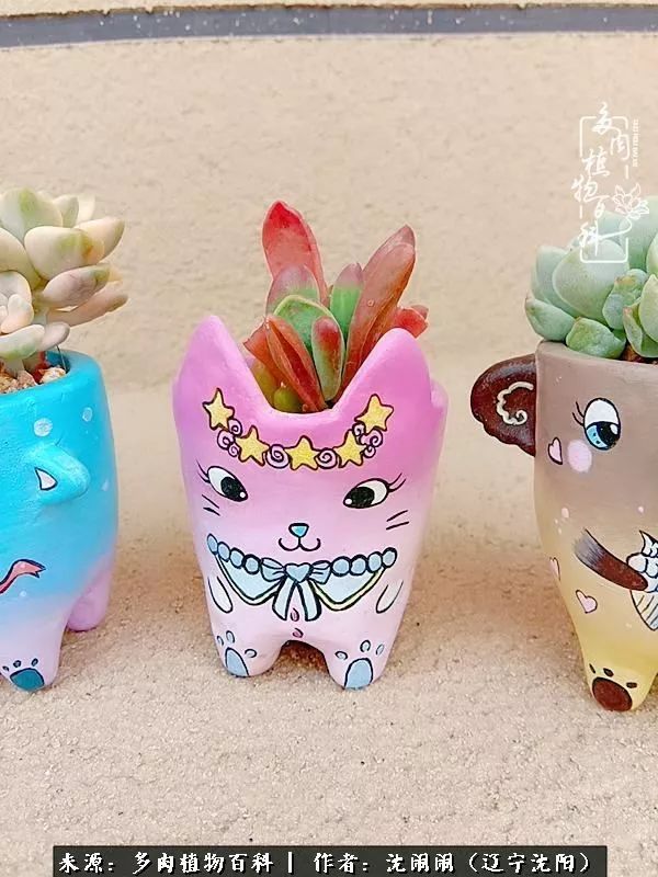 心若向阳无惧晴天,心若向阳不畏风雨