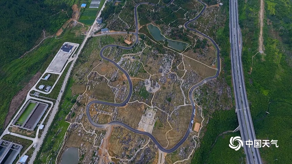 浼氳璇濈殑妞嶇墿,浼氳璇濈殑鐭冲ご