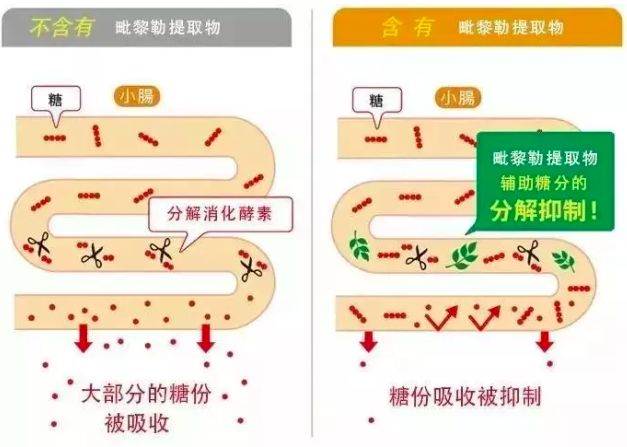 昔日女神负面消息缠身险过气，转手做生意却搞得风生水起