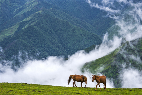 跟着镜头欣赏不一样的风景,跟着镜头领略震撼心灵的景色