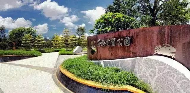 厦门哪些免门票景点好玩,厦门哪里好玩又免费的景点推荐