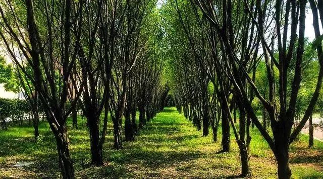 厦门哪些免门票景点好玩,厦门哪里好玩又免费的景点推荐