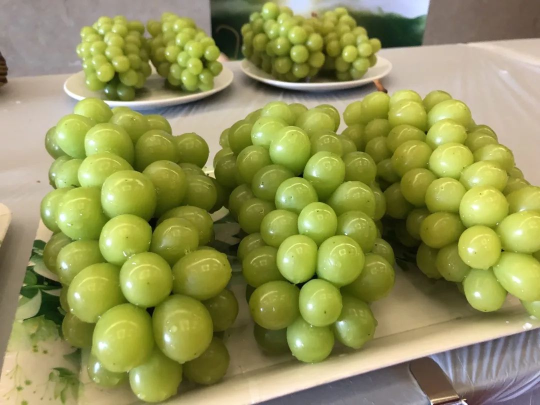 宾川县城加油,宾川加油站活动