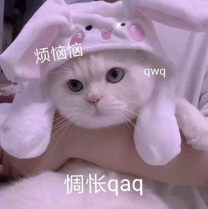 倪妮穿什么鞋最好看,倪妮同款板鞋