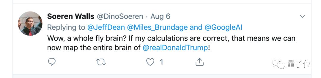 谷歌重建果蝇大脑图像,谷歌重建大脑