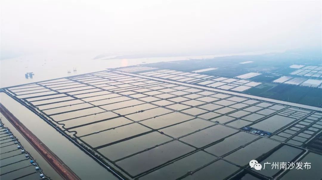 涓ぇ鍗氬＋鍏婚奔,涓ぇ鍗氬＋