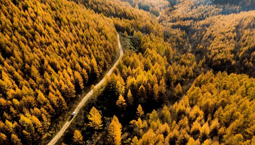 避暑好去处漳州有个仙境美景人少,漳州好玩又避暑的景点推荐一日游