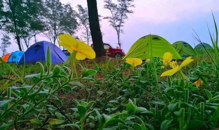 避暑好去处漳州有个仙境美景人少,漳州好玩又避暑的景点推荐一日游