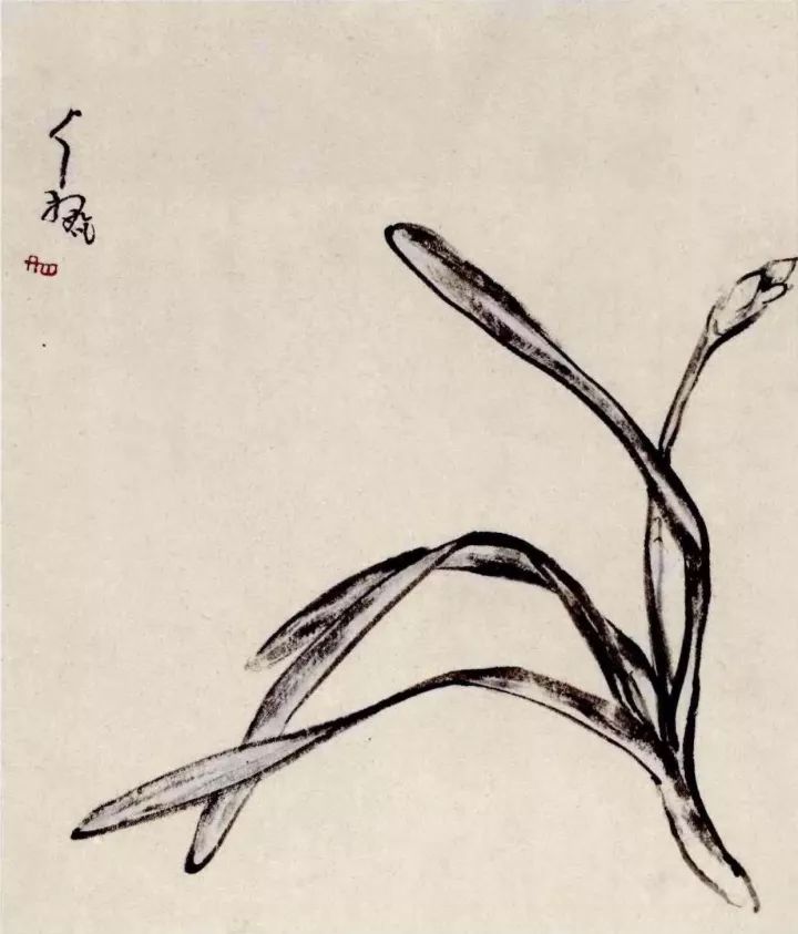 八大山人生平与艺术,八大山人清初