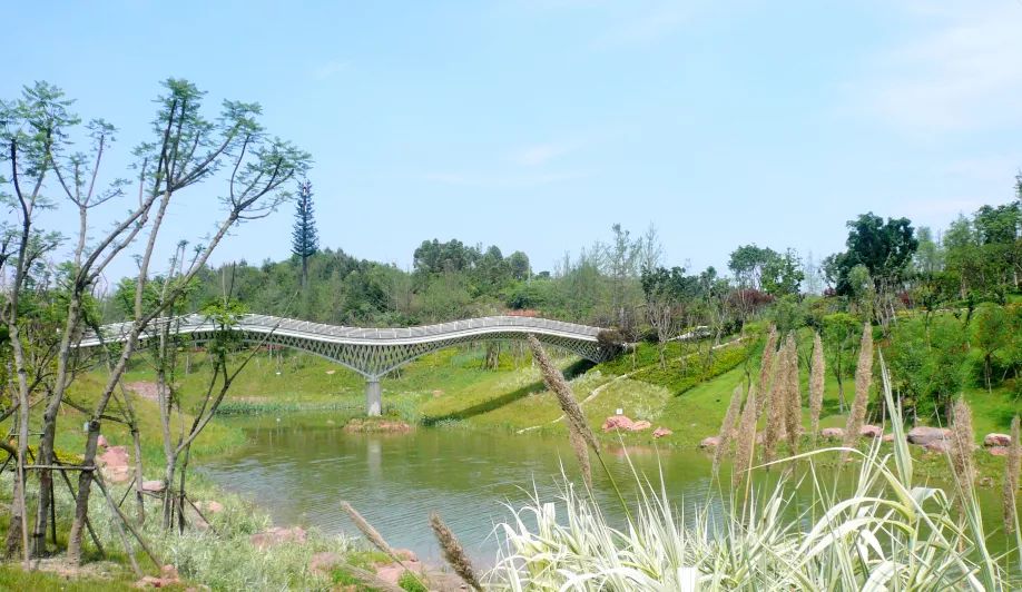 天府新区文创板块,天府文旅板块是不是天府文创城