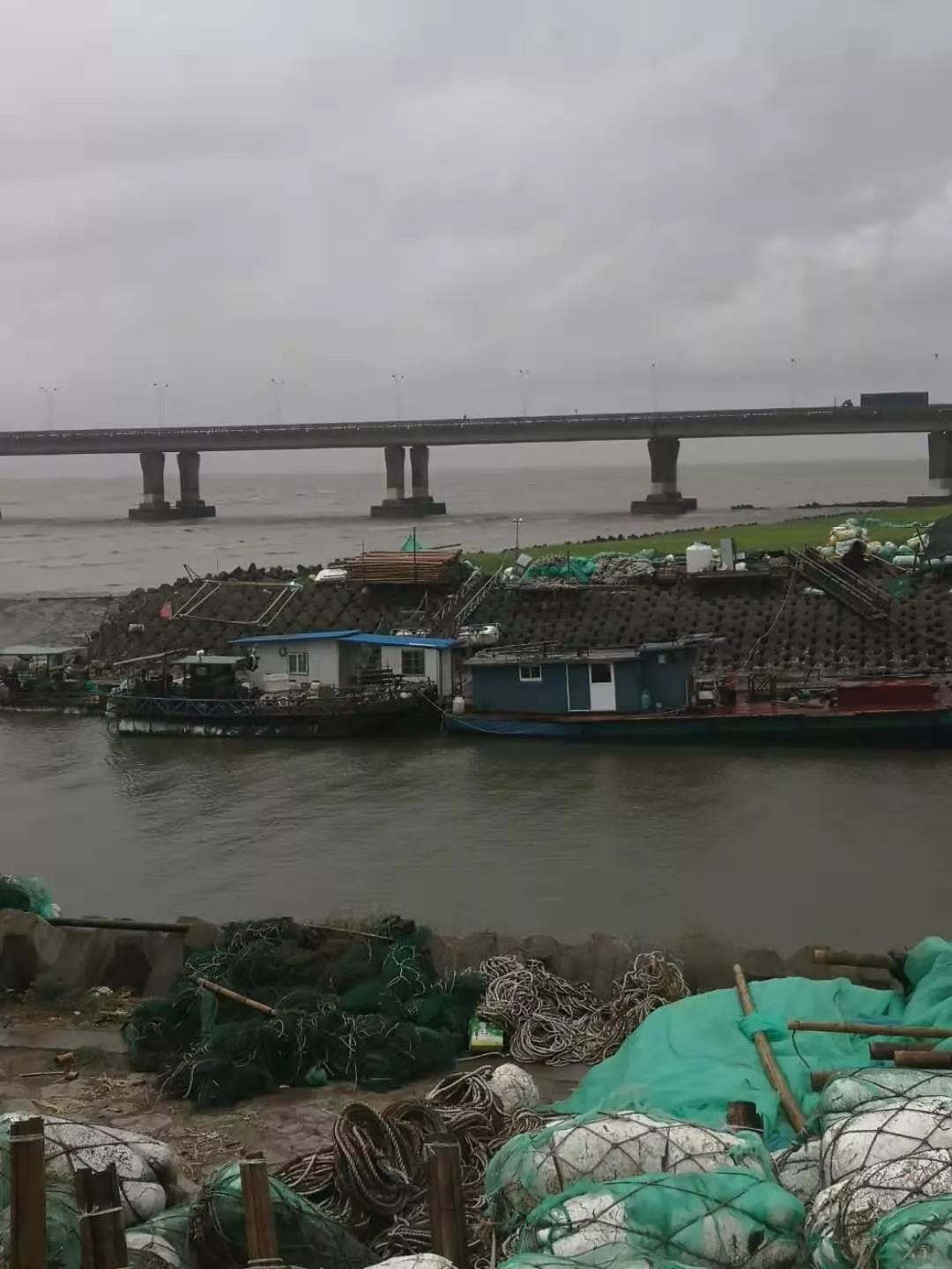 利奇马消息,利奇马台风还能到日照不