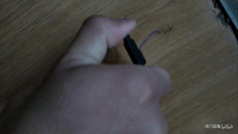 为什么有一些蚊子会飞还会叮人,为什么会有蚊子这种生物有趣回答