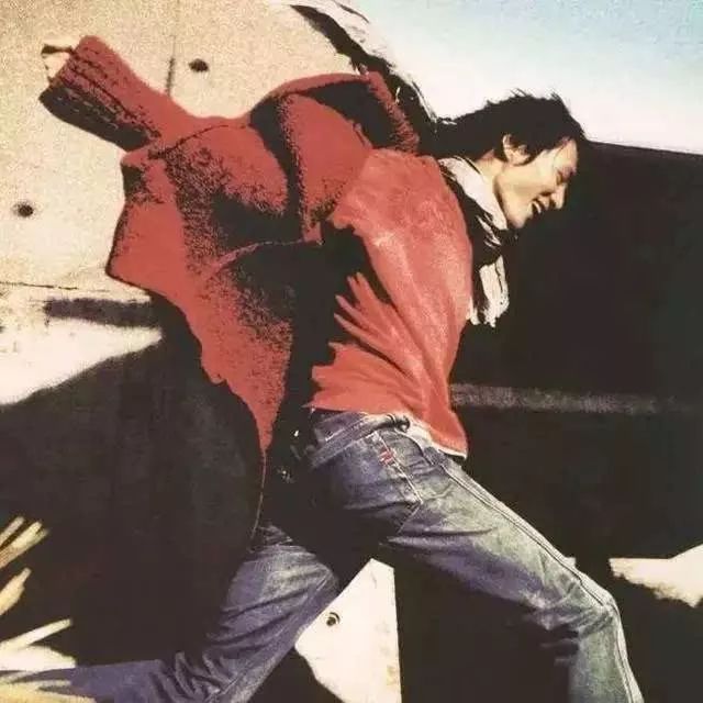 为什么朴树这么火,为什么朴树价格这么高