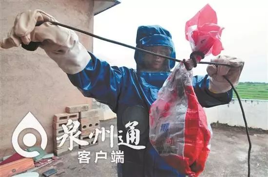 当心有毒虫,夏季当心这6种小虫被咬可能丧命