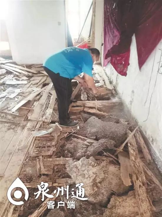 最近被抓的毒虫,警惕这种虫有人被咬后差点没命