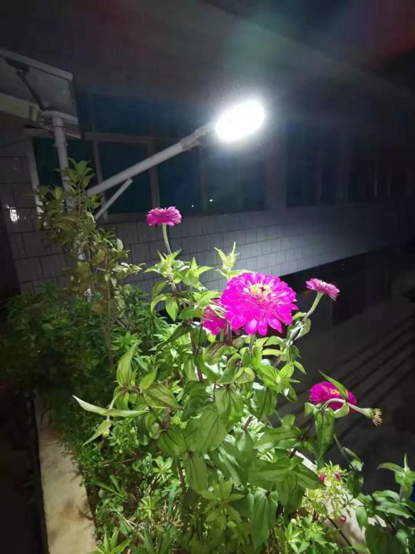 扶贫路上他为贫困户挑起了大梁,扶贫之光照亮贫困地区前行之路