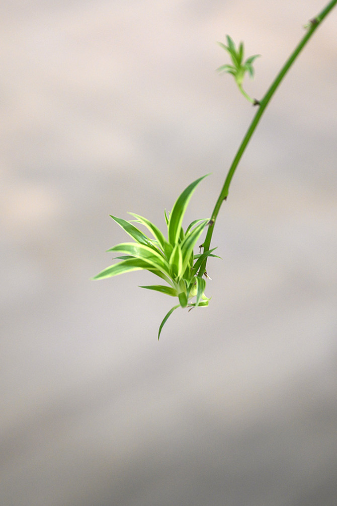 佳能g5x口袋机评测,佳能口袋相机