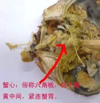 街头开车卖冻螃蟹被骗怎么办,长春路边卖螃蟹