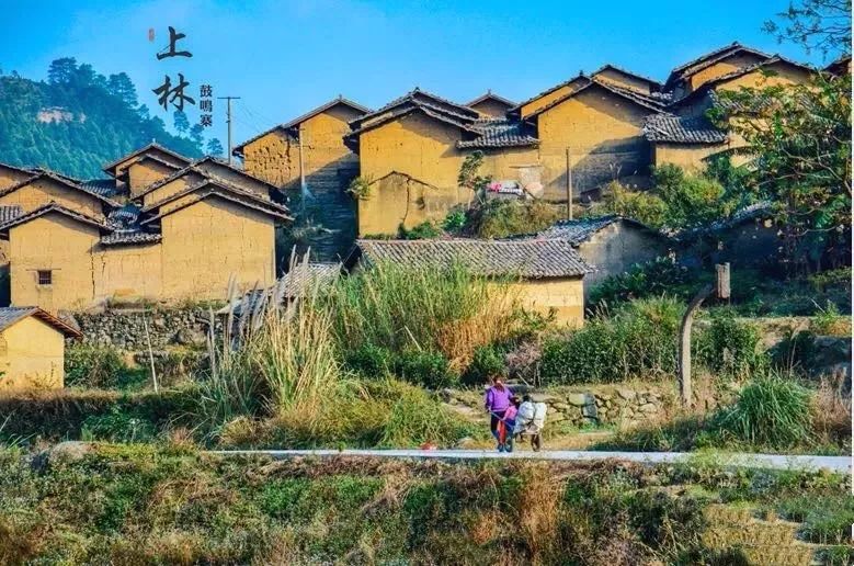 上林旅游打卡地,上林游玩景点推荐