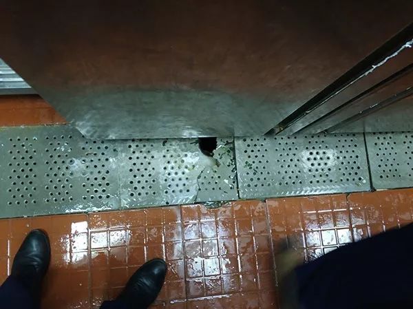 宁波前十名餐馆,宁波6家外卖店上黑榜