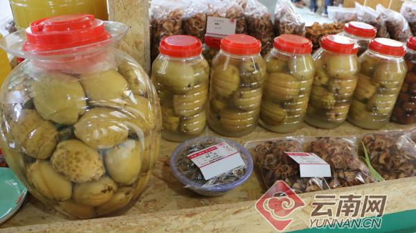 墨江县乡村振兴重要举措,云南省墨江县乡村振兴