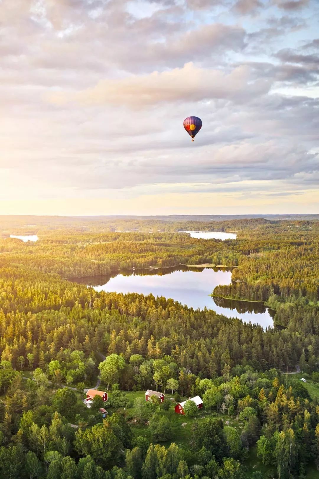 讲述瑞典人的纪录片,北极纪录片瑞典