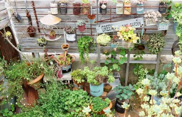 当破铜烂铁碰上多肉，这美度居然还能翻倍