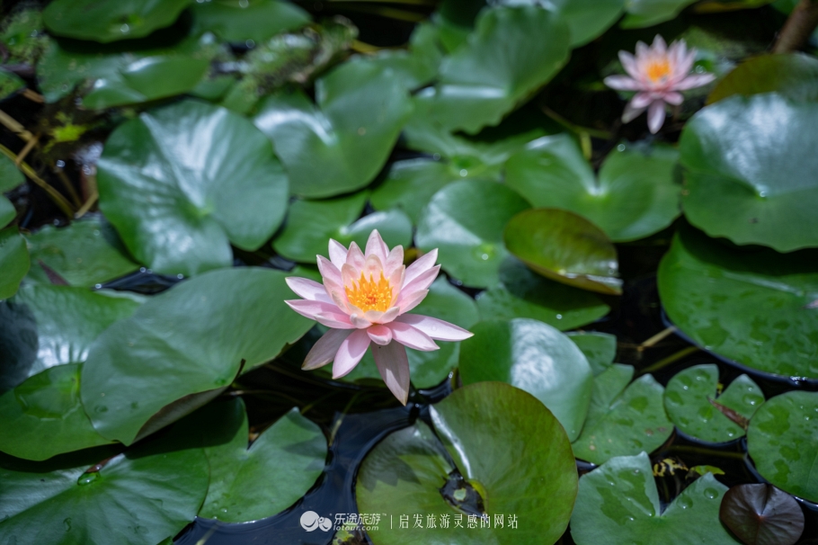 黄果树瀑布群，那些激荡在山谷里的回响