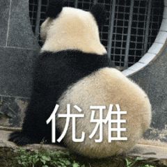 遛狗师一年的工资,遛狗师可以月入过万