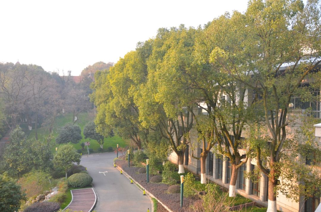 芜湖十大宾馆排名,芜湖鸠江区哪里有便宜的宾馆