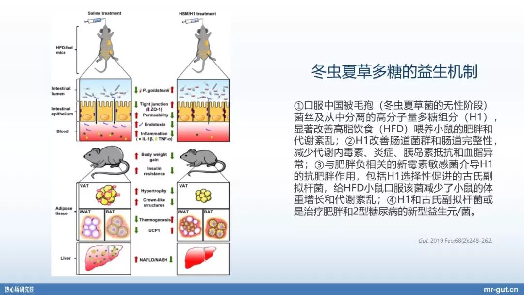 热心肠先生经历,热心肠先生