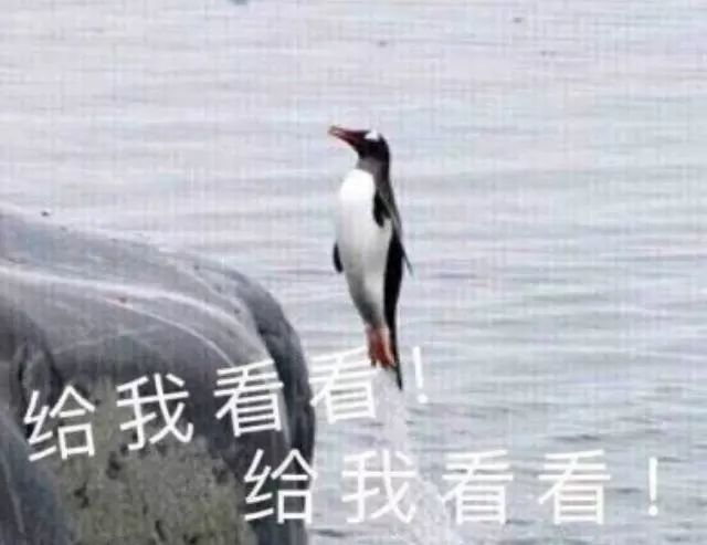 用过100+的手机修图软件,盘点超好用的手机修图app