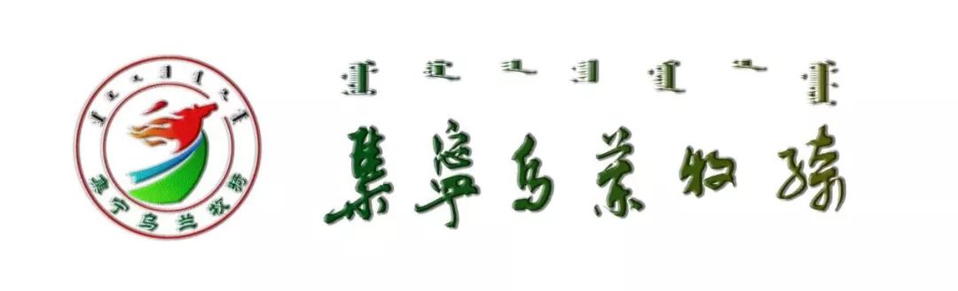 壮丽七十年奋斗新时代微视频,壮丽70年奋斗新时代朗读