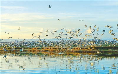 青海湖春夏秋冬美到窒息,青海湖碧水蓝天白云