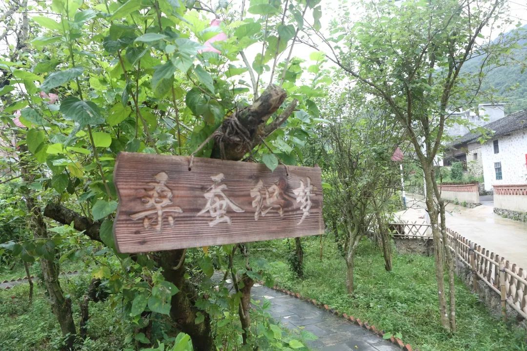 贵州荔波县哪些农业项目,荔波种植什么最赚钱