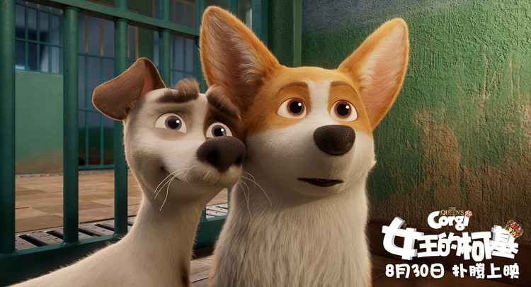 女王的柯基中文版免费观看完整版,女王的柯基在线免费看全集完整版