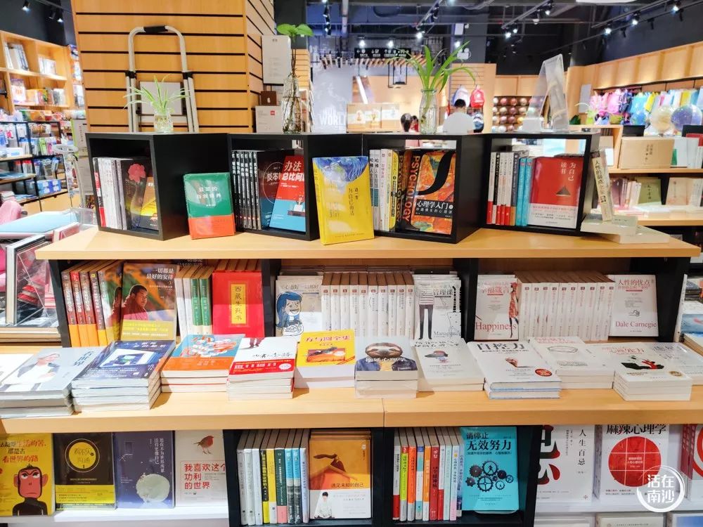 鍗楁矙鏂板崕涔﹀簵,鍗楁矙鍖烘渶澶х殑鏂板崕涔﹀簵