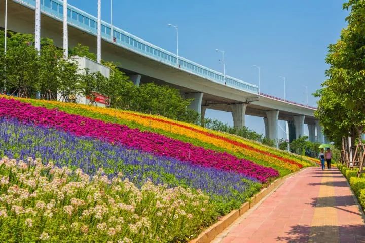 这是一场冰雪世界与海上花园的相遇，期待与你碰撞出不一样的火花~