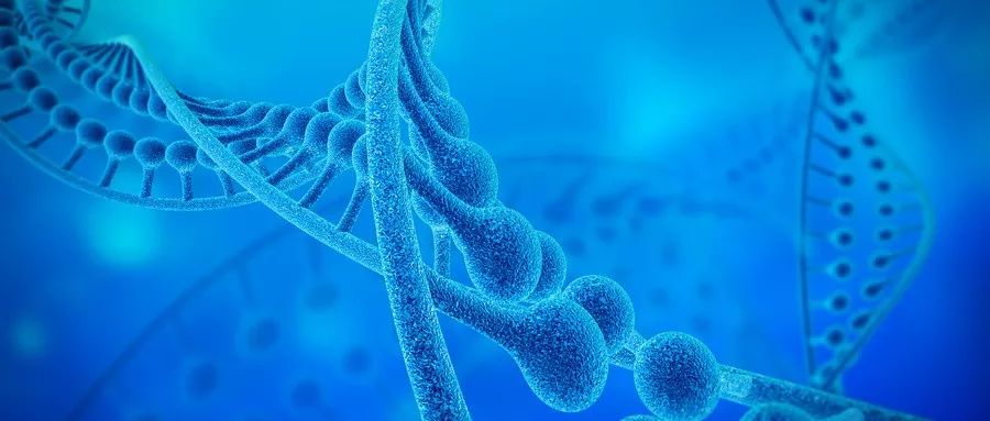 锌元素如何补,生命元素锌功效与作用