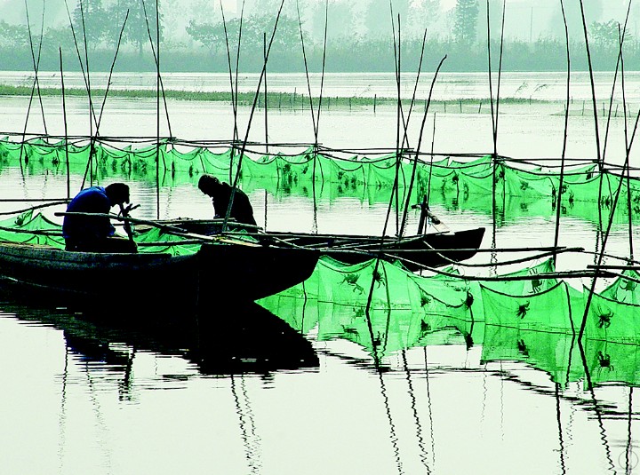 当涂县百强县,中国百强县第一名当涂县