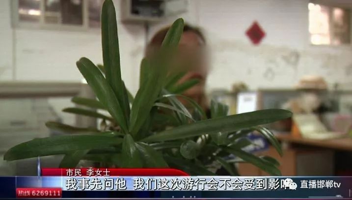 旅游遭遇转团且行程“缩水”去协商游客却在非凡国际旅行社内遭骂