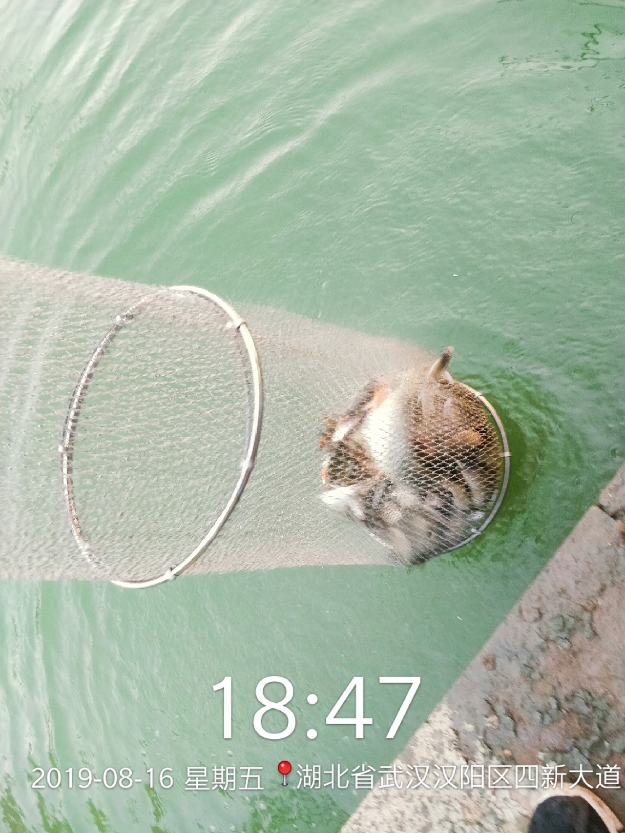 周五钓鱼攻略,周五垂钓