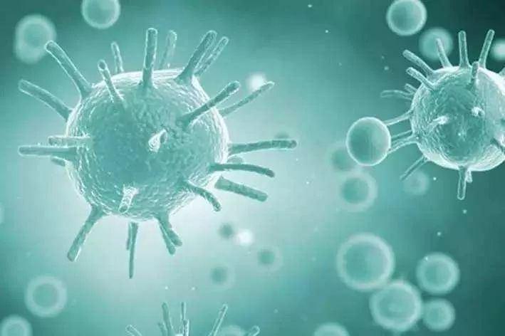 8个多月的宝宝细菌感染高烧不退,8岁女孩感染病例