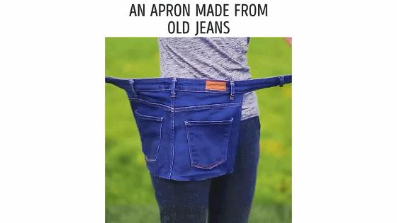 在家种菜,不用土不用肥,“一张纸”就搞定