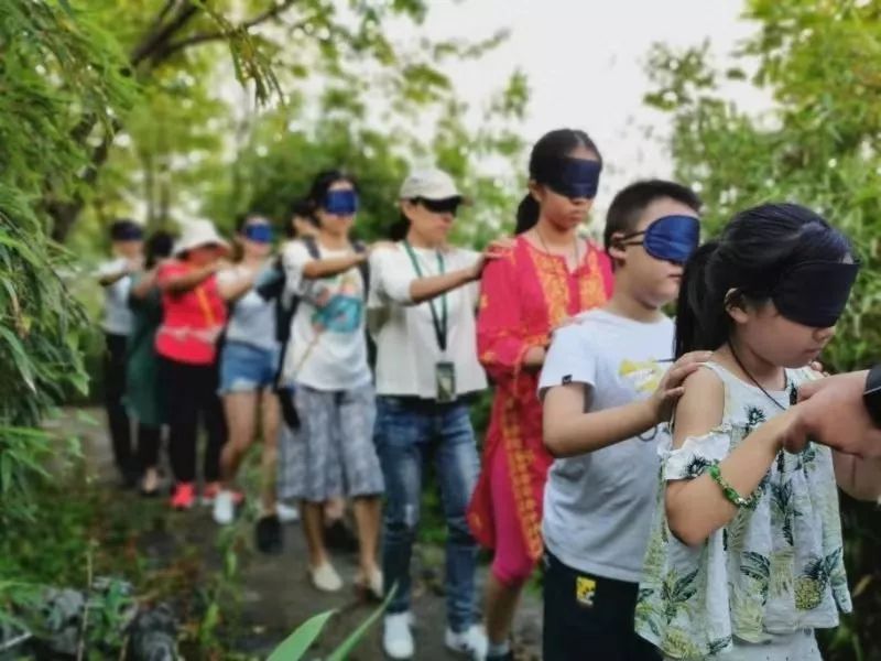 自然教育让孩子幸福的成长,德国青少儿自然教育