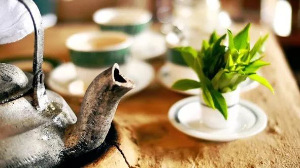 宸¤鑻辨枃,宸¤涔嬫梾