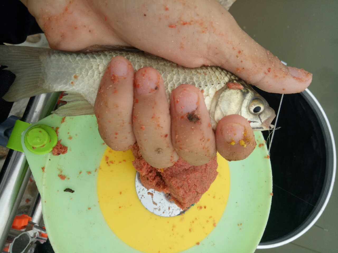 钓鱼人818攻略,钓鱼人开饵料